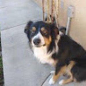 Meet your Posher, Mema